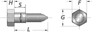 Stainless Steel Lag Screw dimensions
