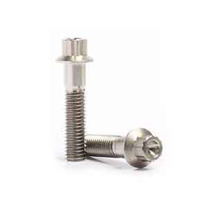12 point flange bolts stainless steel Manufacturers in India