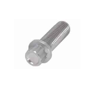 12 point hex flange bolts Manufacturer in India