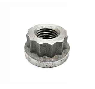 12 point hex nuts Manufacturer in India