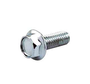 hex flange head bolts  Manufacturer in India