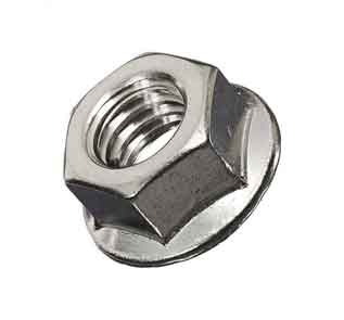 Stainless steel flange nuts Manufacturers in India
