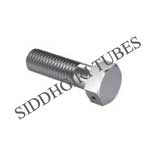 CSN 02 1104 Bright hexagon bolts with hole in the head