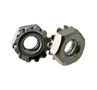 Double lock nuts Manufacturer in India