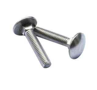 Stainless steel round head bolt  Manufacturers in India