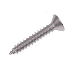 ASTM A194 Gr 2H Self Tapping Screws Manufacturer