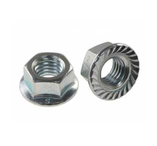 Stainless 317L Serrated Steel Nuts Manufacturer in India