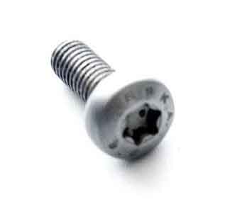 Stainless Steel Torx Bolts Manufacturers in India