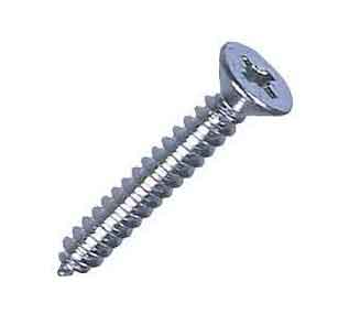 Marine ss wood screws manufacturers in India