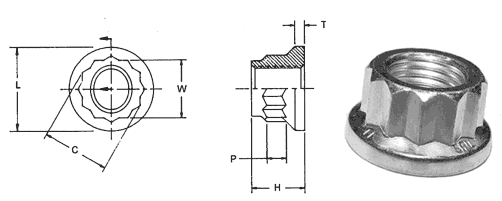 12 Point Stainless Steel Nuts Dimensions